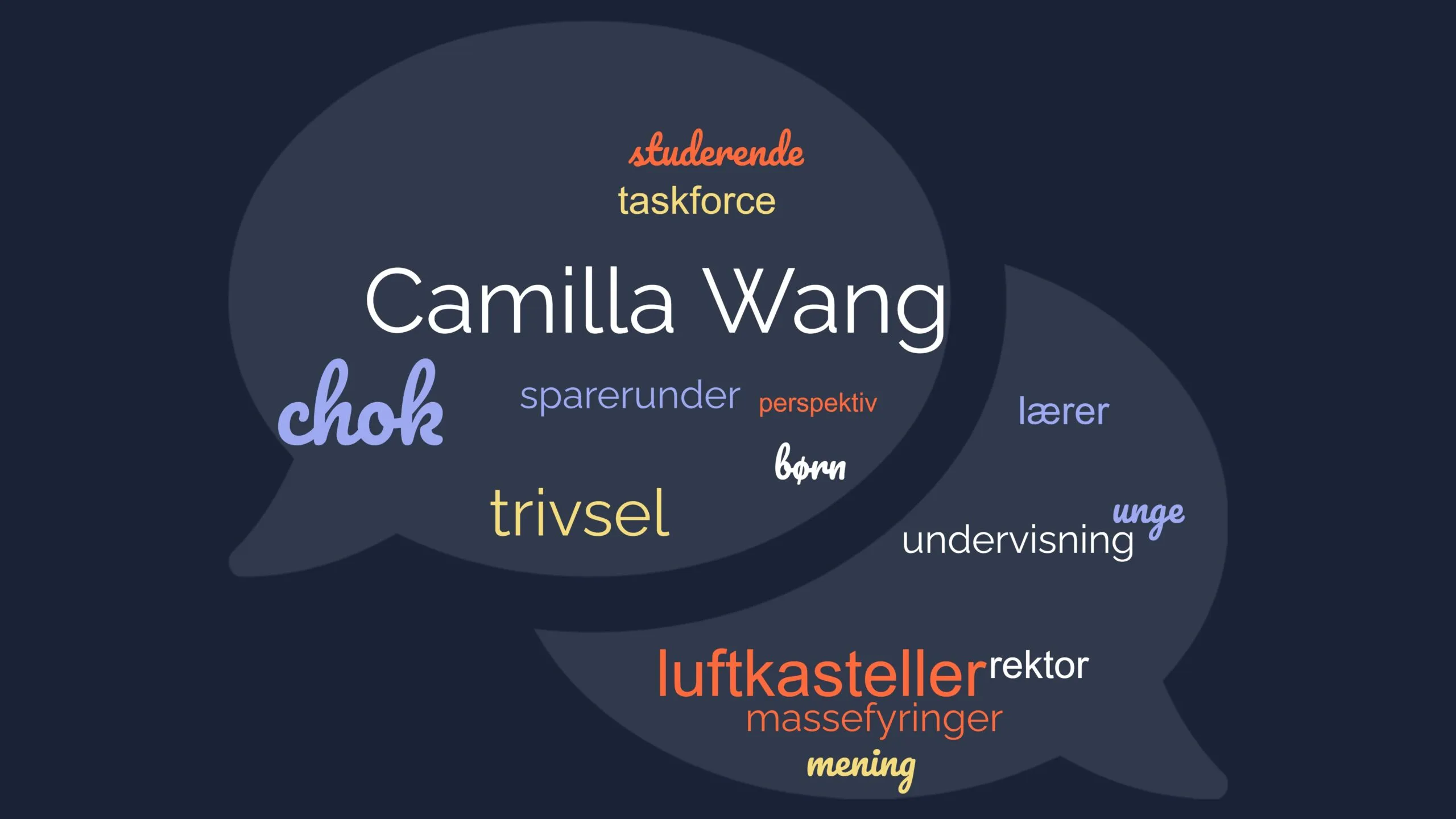 Camilla Wang og læreruddannelsen